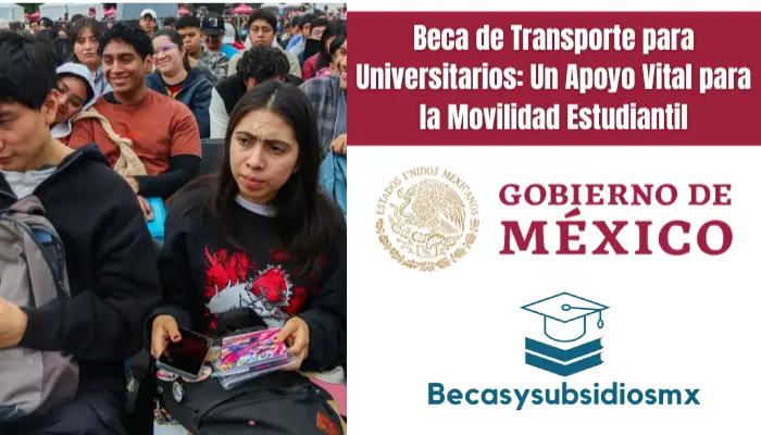 Beca de Transporte para Universitarios: Un Apoyo Vital para la Movilidad Estudiantil