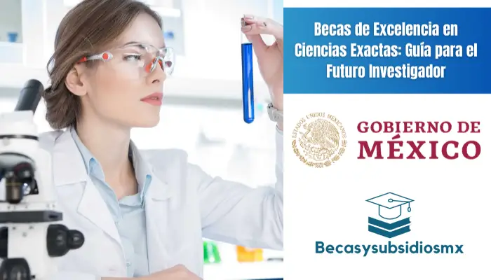 Becas de Excelencia en Ciencias Exactas: Guía para el Futuro Investigador