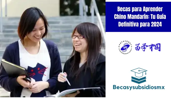 Becas para Aprender Chino Mandarín: Tu Guía Definitiva para 2024