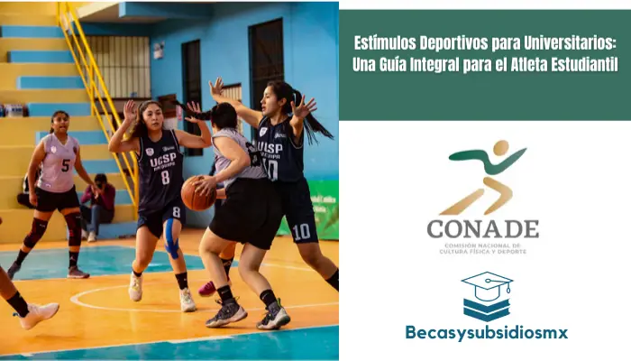 Estímulos Deportivos para Universitarios: Una Guía Integral para el Atleta Estudiantil