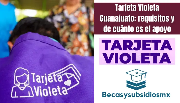 Tarjeta Violeta Guanajuato: requisitos y de cuánto es el apoyo