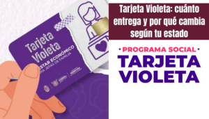 Tarjeta Violeta: cuánto entrega y por qué cambia según tu estado