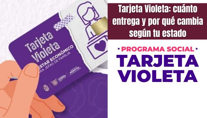 Tarjeta Violeta: cuánto entrega y por qué cambia según tu estado