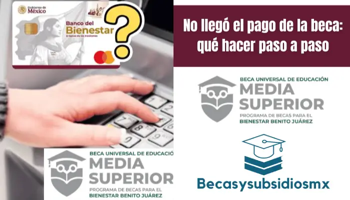 No llegó el pago de la beca: qué hacer paso a paso